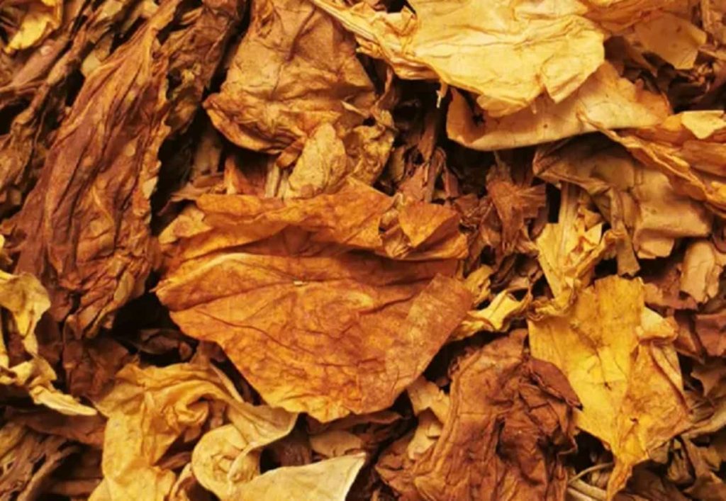 Tobacco leaves being mixed in a professional blending machine